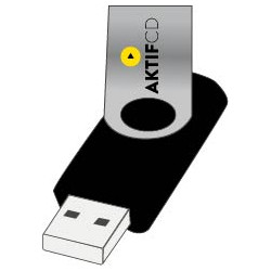 10 Clés USB Twister